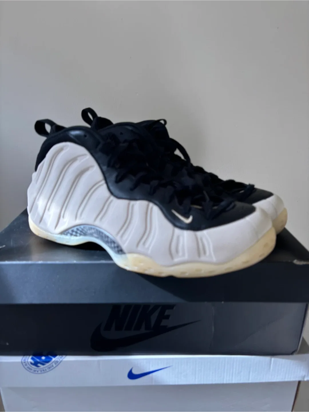 Nike Air Foamposite One Premium Pearl White Size 12 image indicator(3)