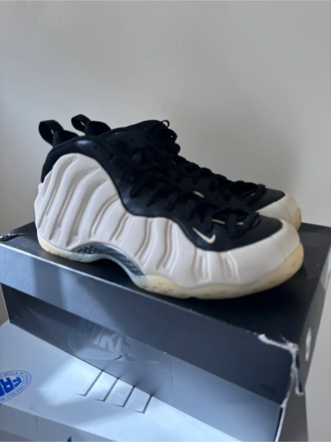 Nike Air Foamposite One Premium Pearl White Size 12 image indicator(4)