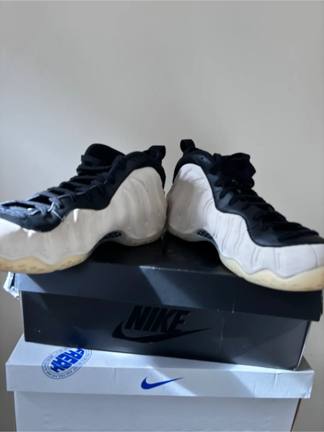 Nike Air Foamposite One Premium Pearl White Size 12 image indicator(2)