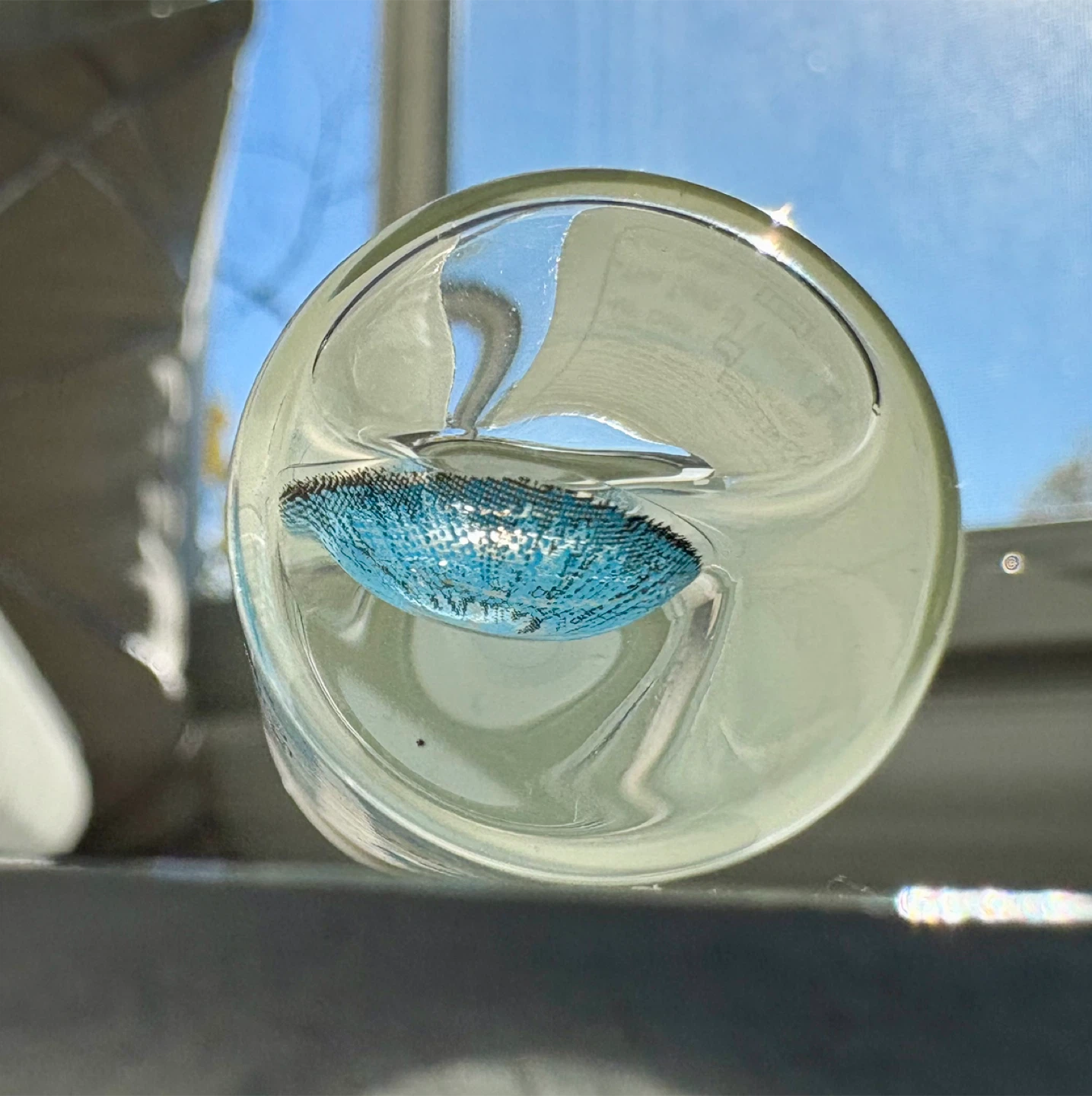 Blue Fashion Lenses