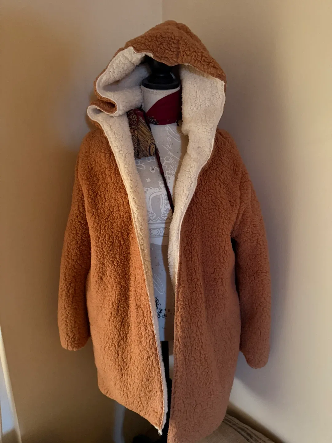 Reversible Hooded Teddy Coat image indicator(3)