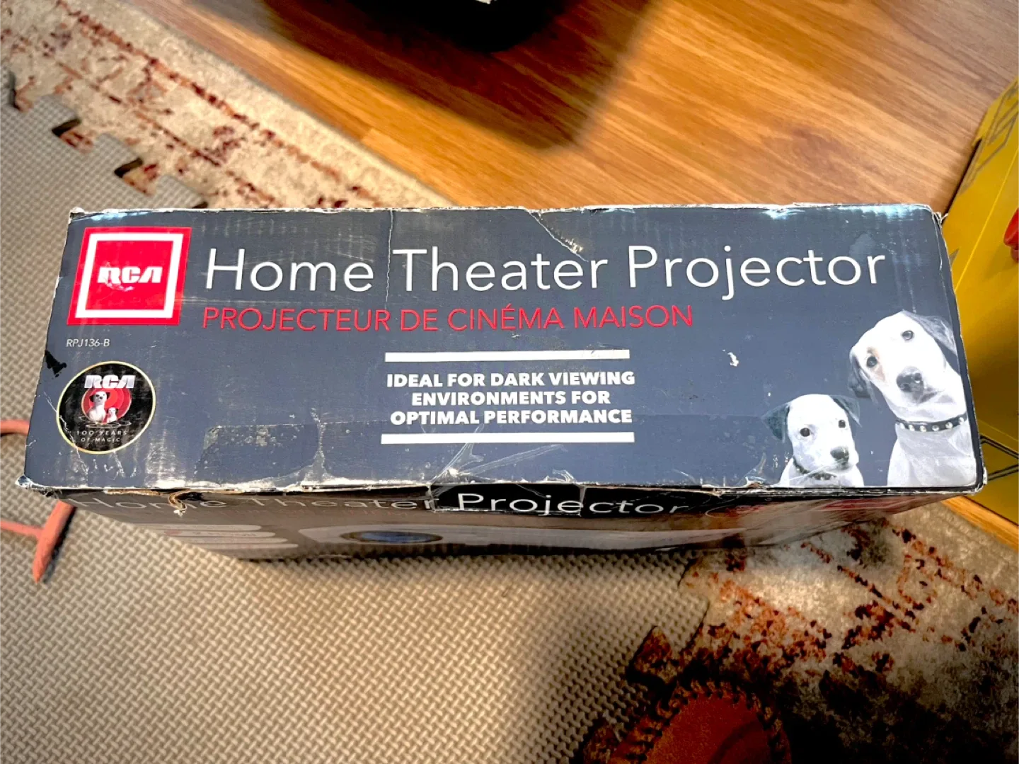 RCA Projector image indicator(2)