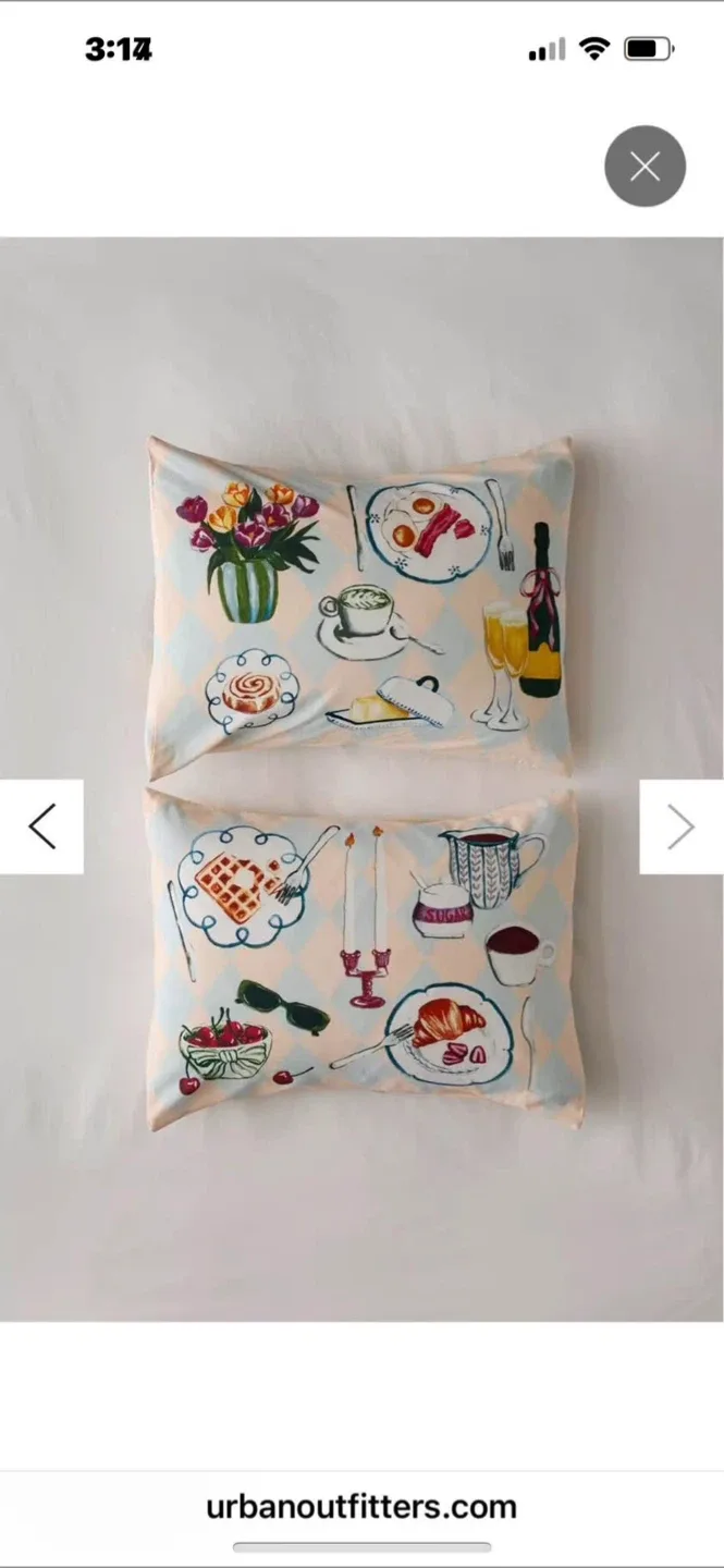 UO Home Shams Set of 2 (27" x 21") - New! image indicator(2)