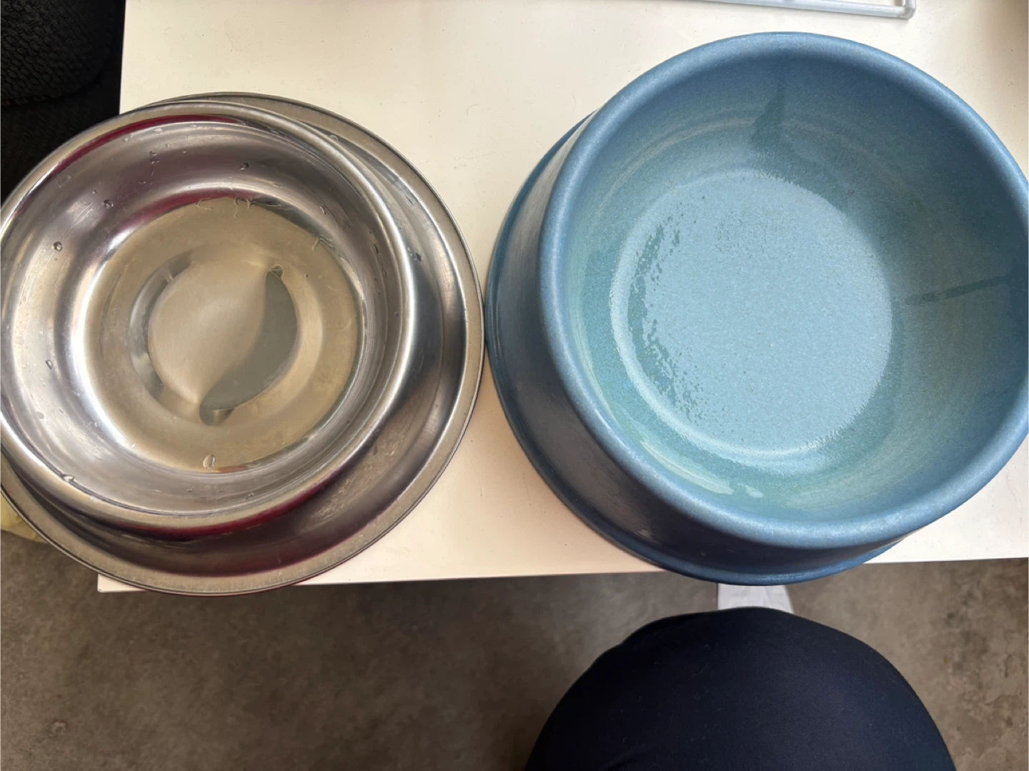 Dog Bowls - Stainless Steel & Blue Ceramic - photo 2