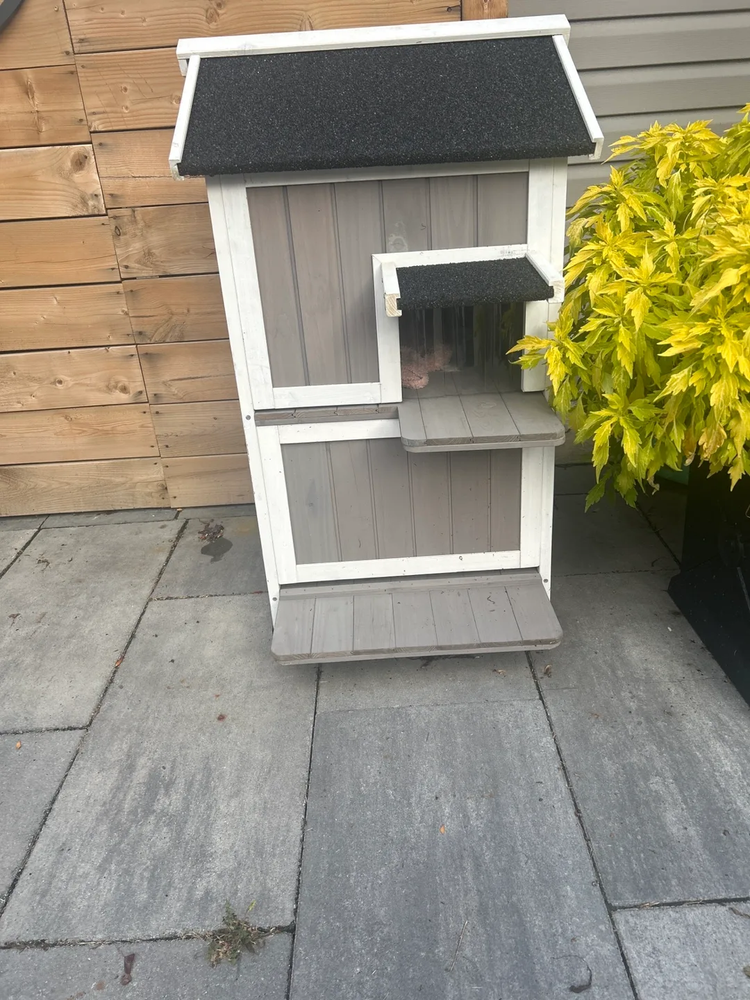 Wooden Outdoor Cat House image indicator(2)