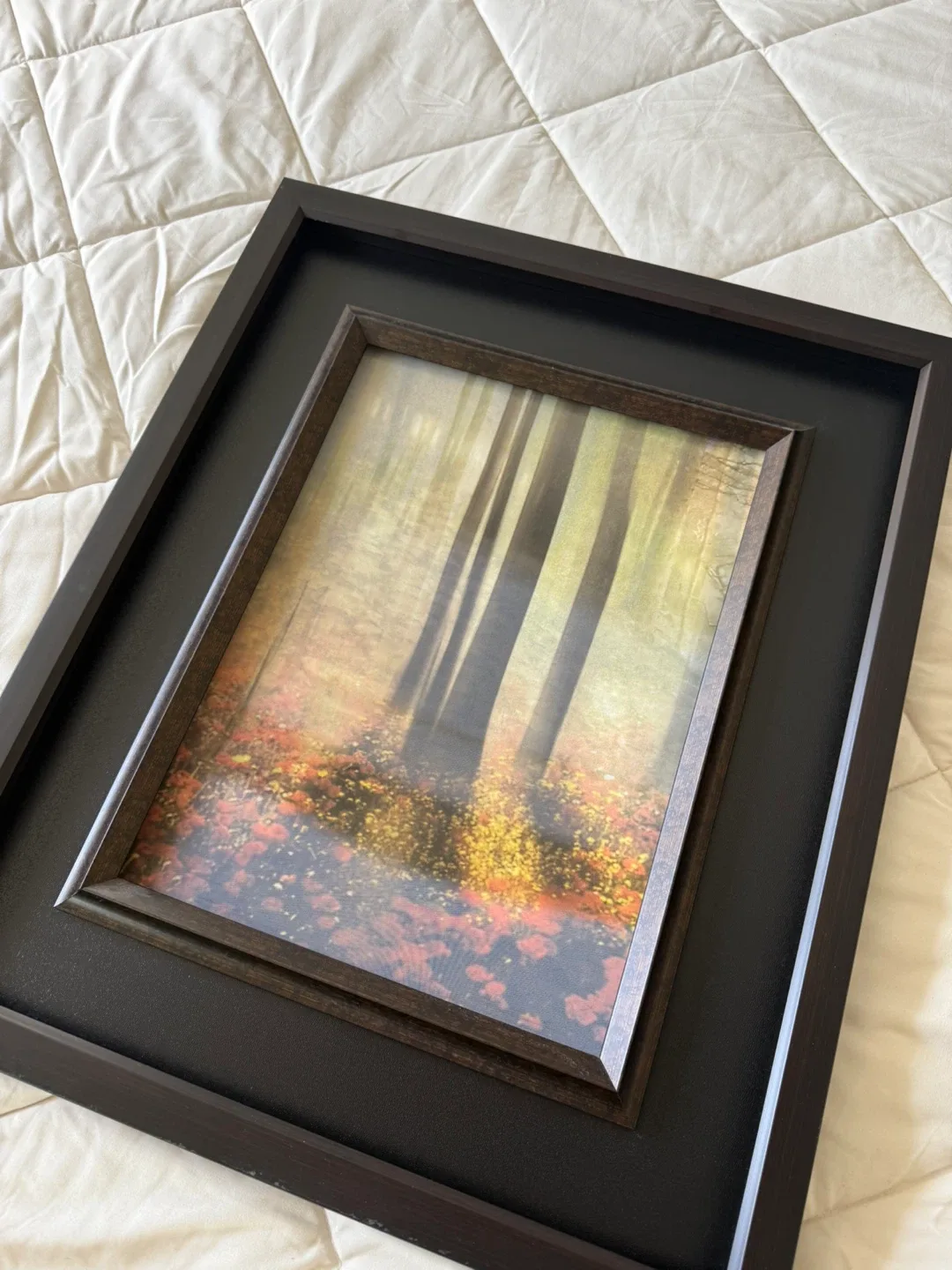 Framed Reflective Forest Picture thumbnail
