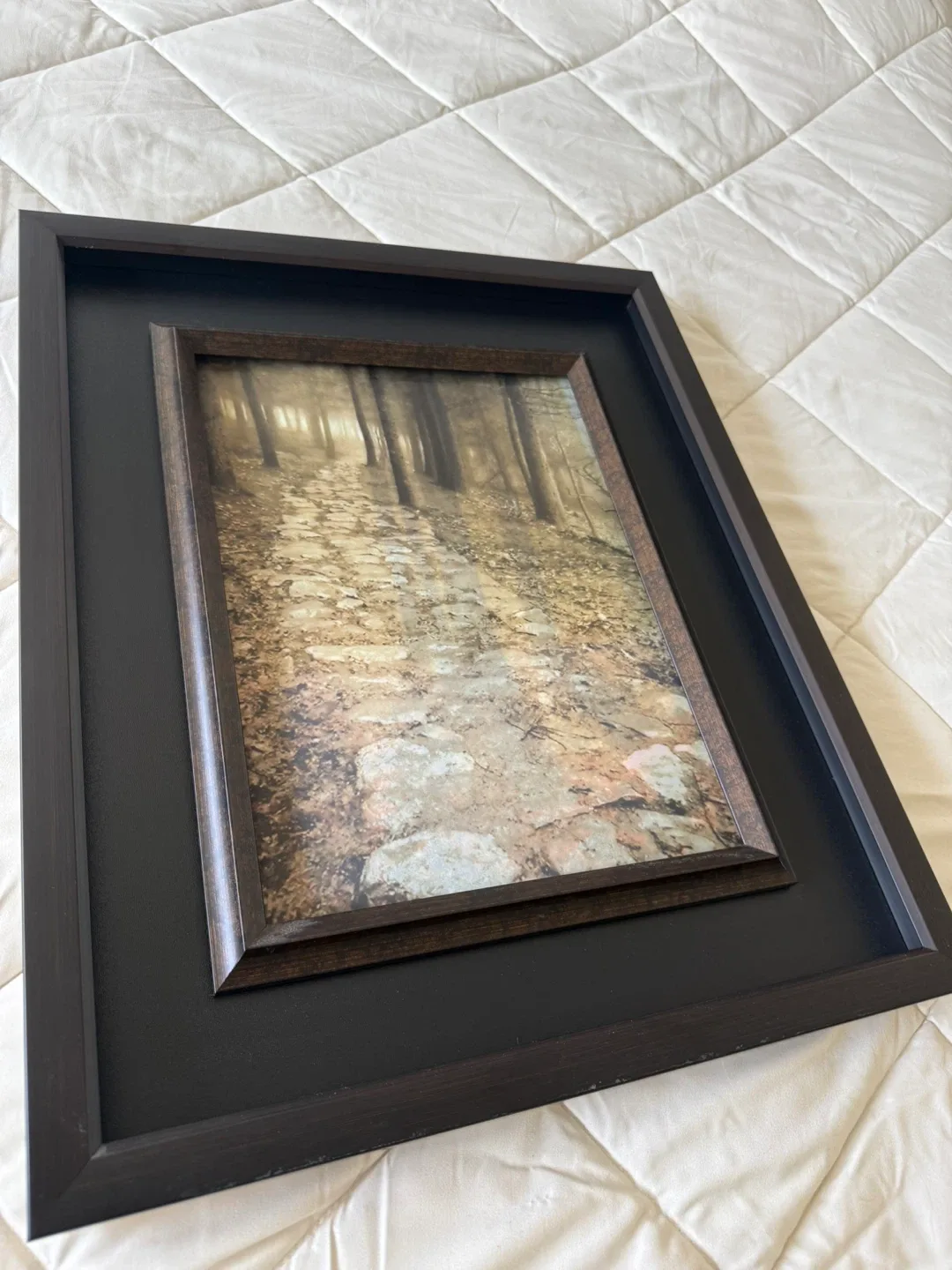 Framed Reflective Forest Picture image indicator(4)