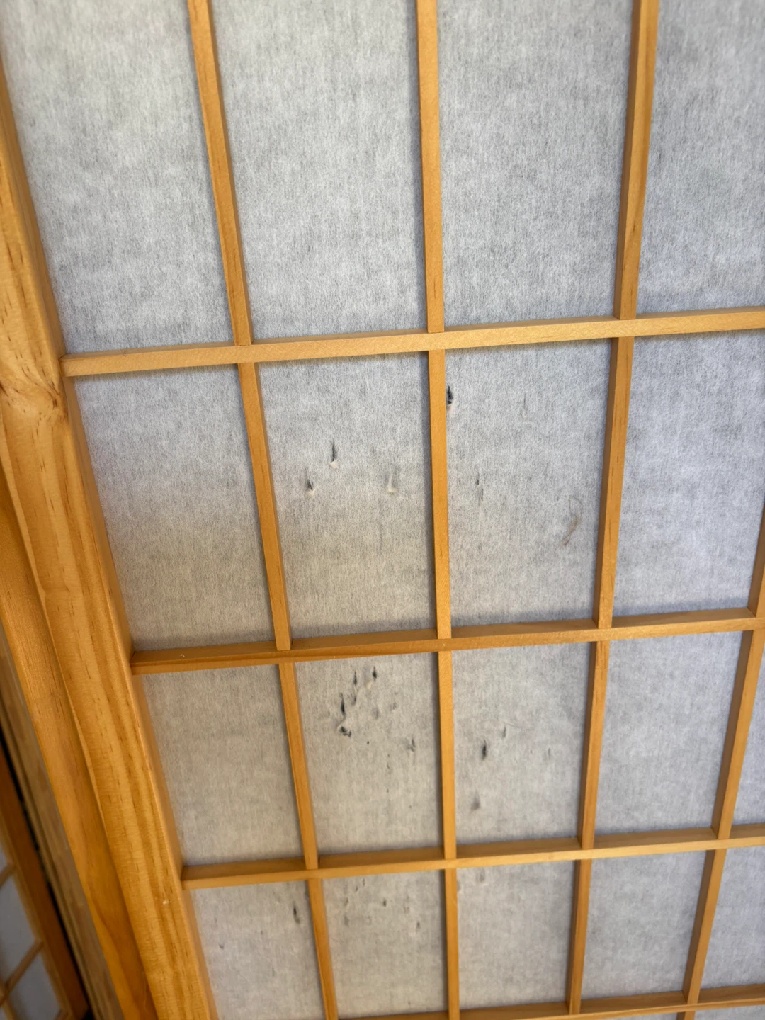 Shoji Screen Room Divider - photo 3