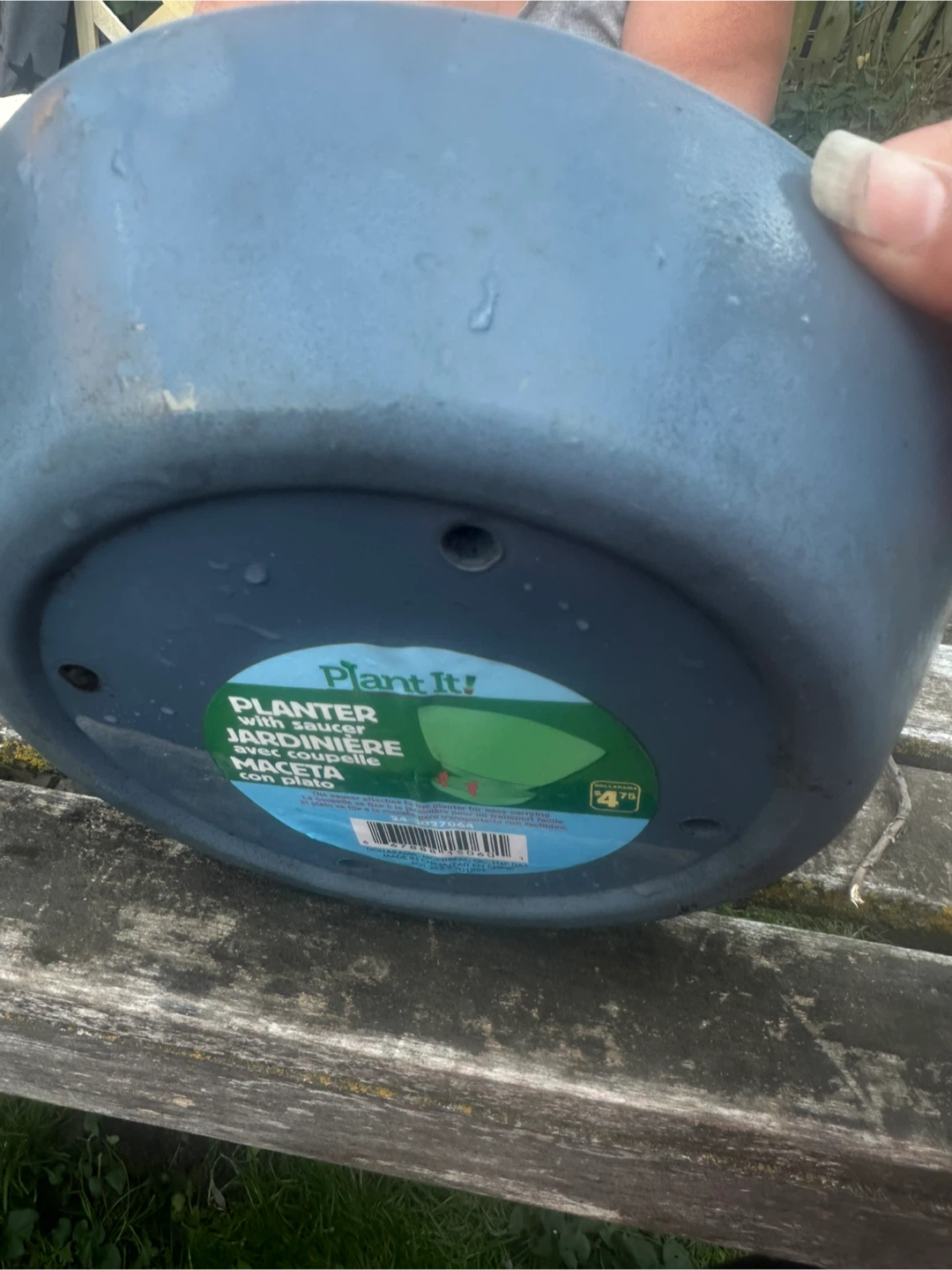 Free - Plant It! Planter Saucer 🥕 - photo 2