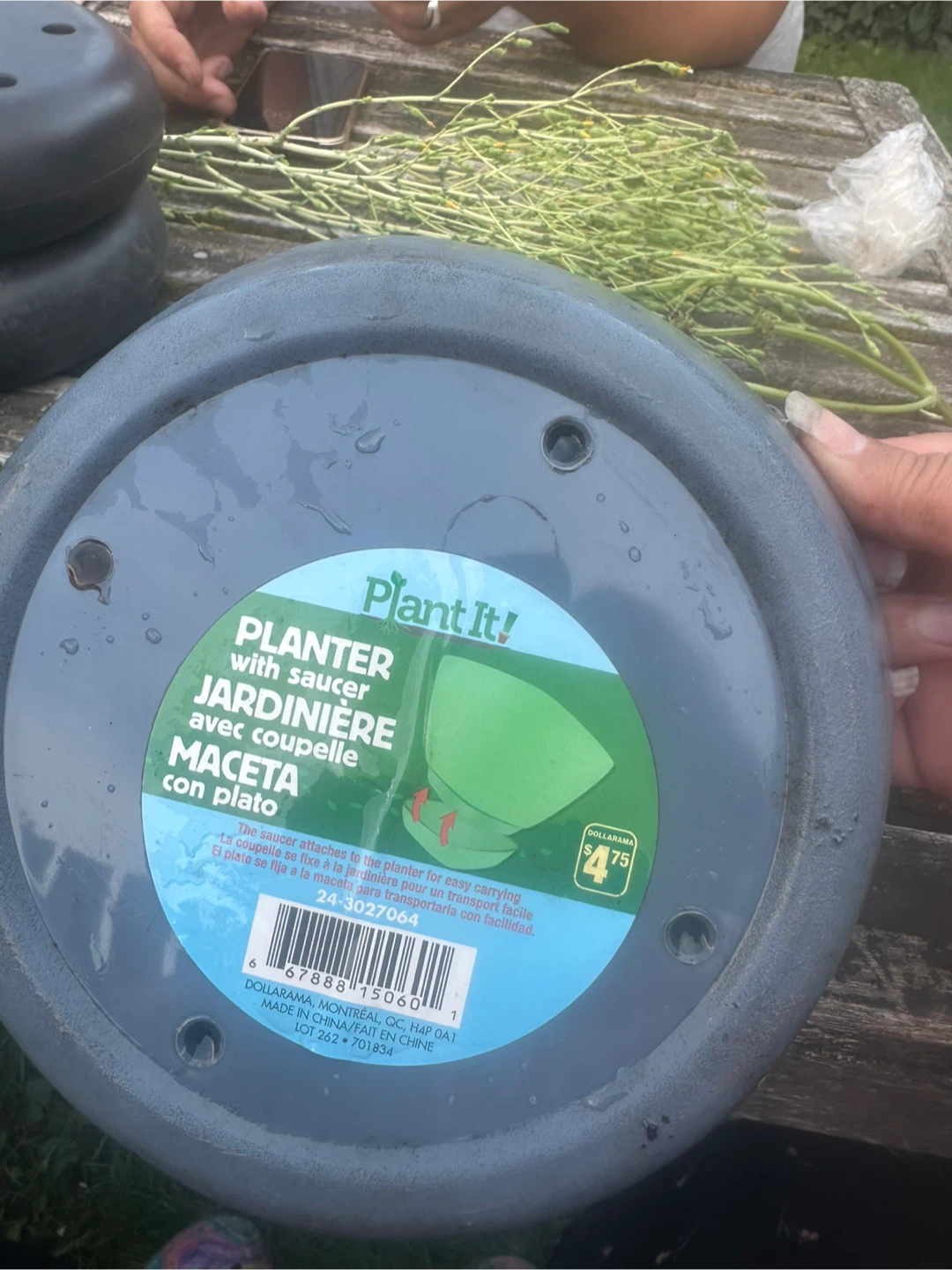 Free - Plant It! Planter Saucer 🥕 - photo 4