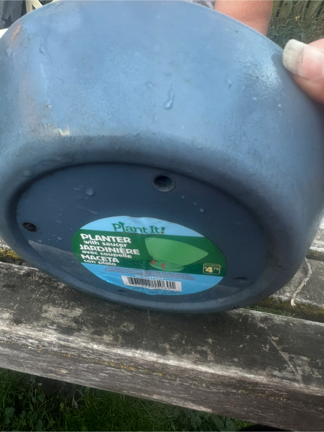 Free - Plant It! Planter Saucer 🥕 - photo 3