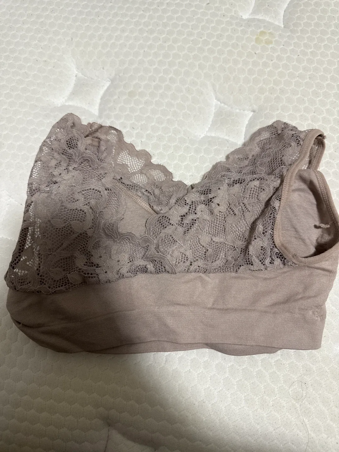 Beige Lace Bra image indicator(3)