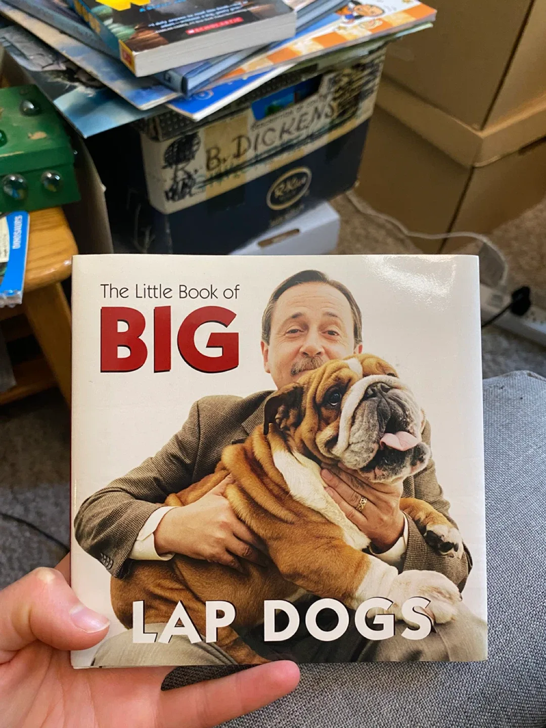 The Little Book of BIG Lap Dogs thumbnail