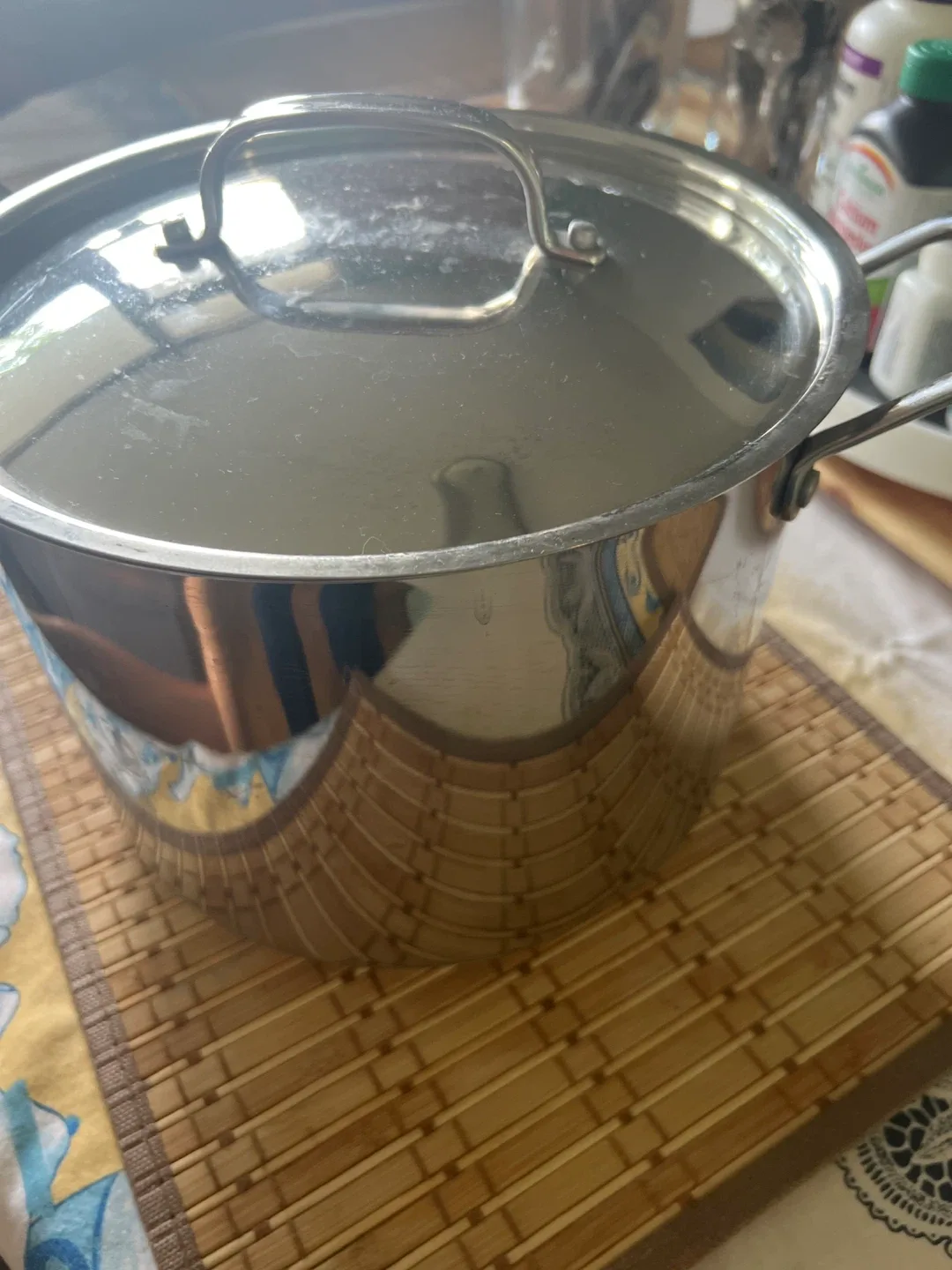 Sarda Stainless Steel Stock Pot