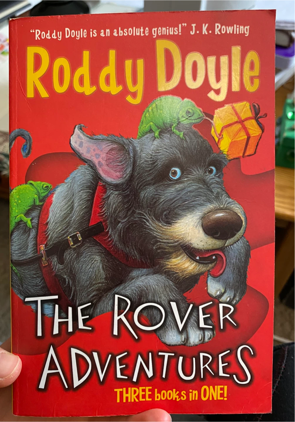 The Rover Adventures by Roddy Doyle