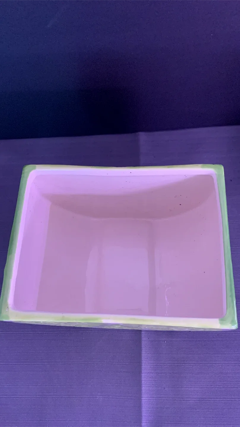 🥕 Lime Slice Ceramic Planter image indicator(2)