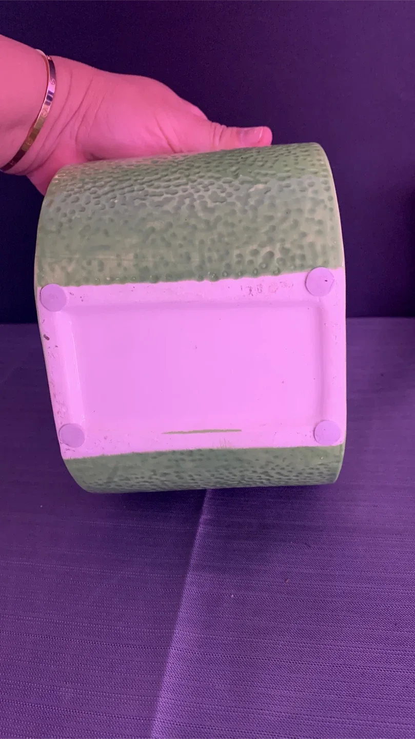 🥕 Lime Slice Ceramic Planter image indicator(5)