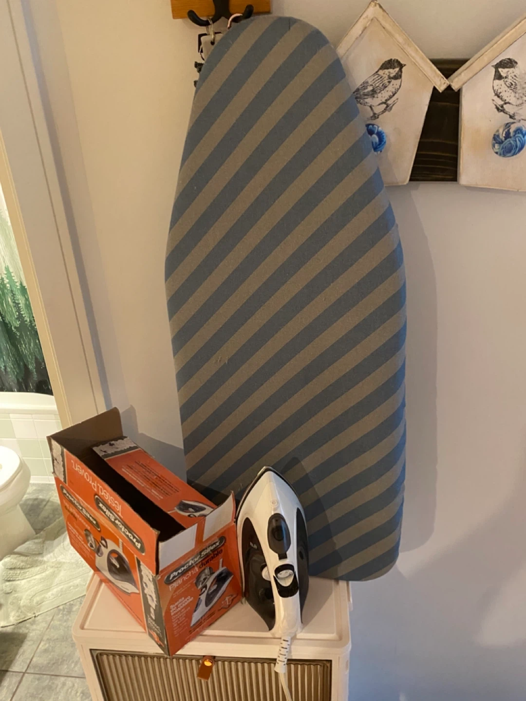 Iron and Ironing Board