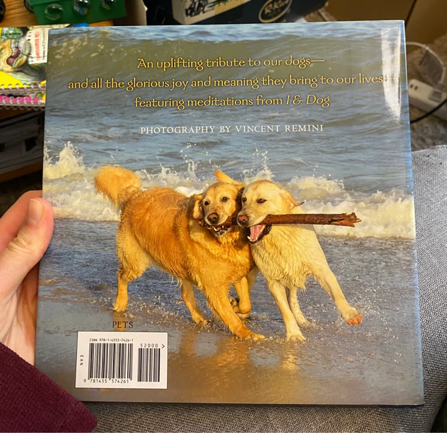 Bless the Dogs by The Monks of New Skete image indicator(2)