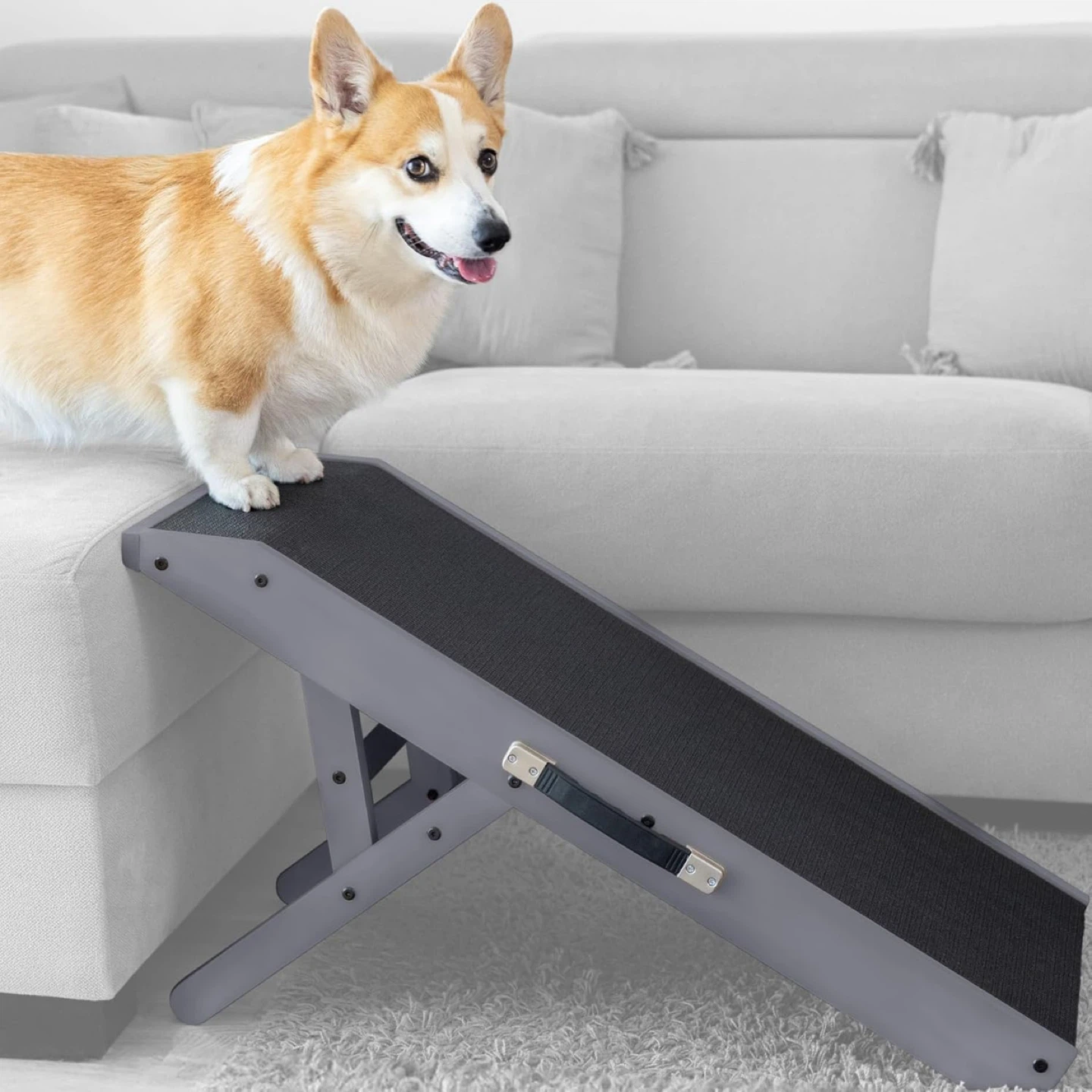 2 Priorpet Dog Ramps