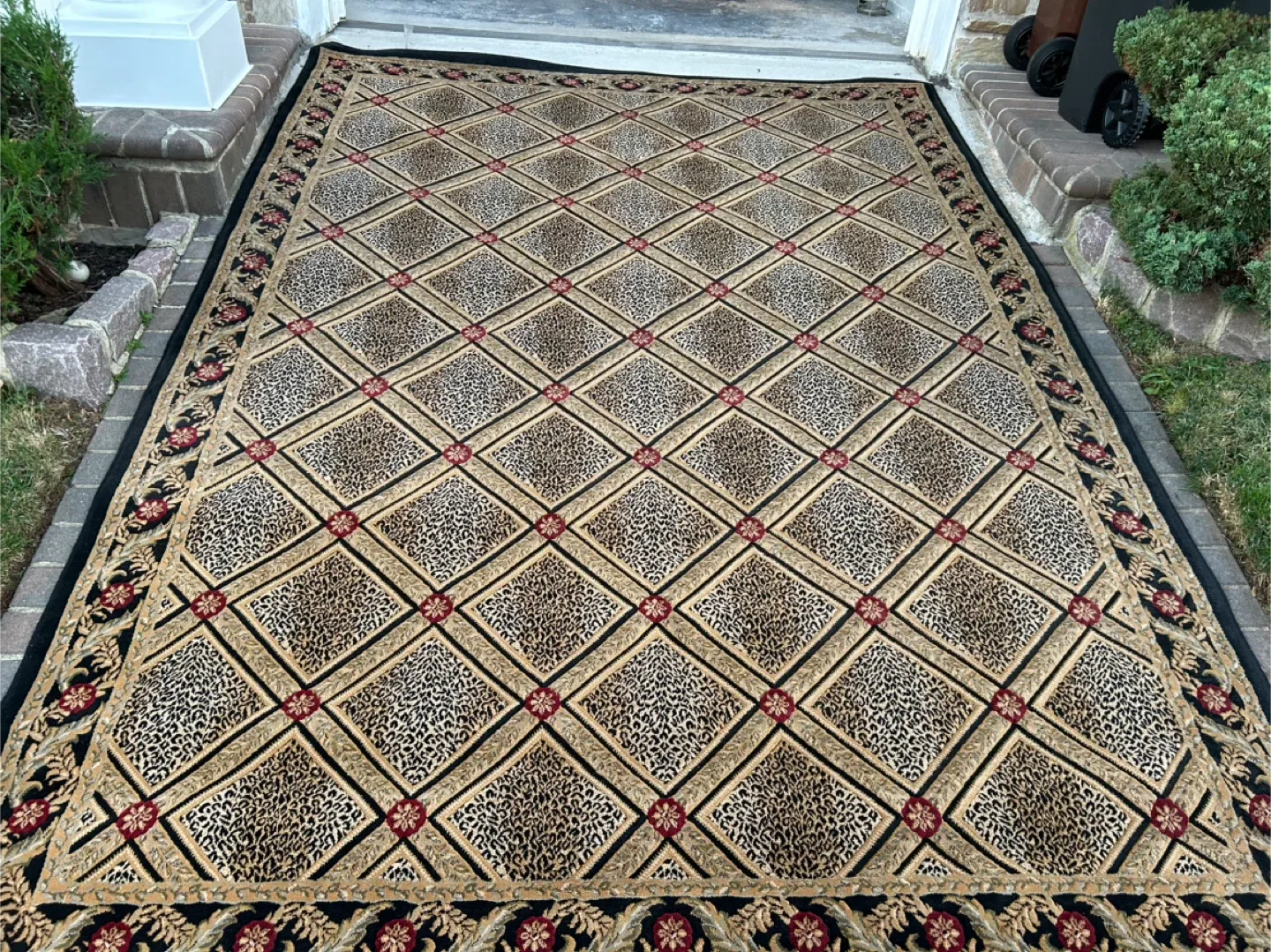 8’ x 11’ leopard area rug image indicator(3)