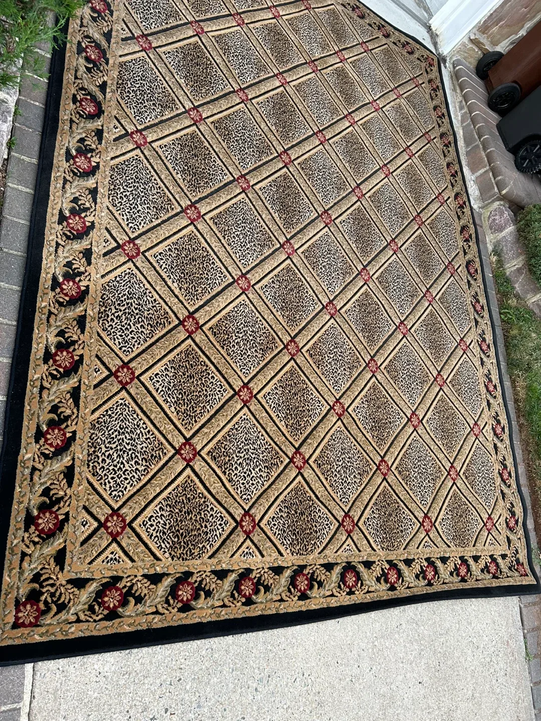 8’ x 11’ leopard area rug image indicator(2)