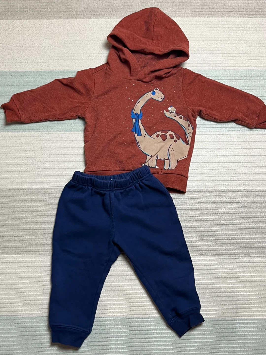 Carter's 18M Hoodie & Pants Set