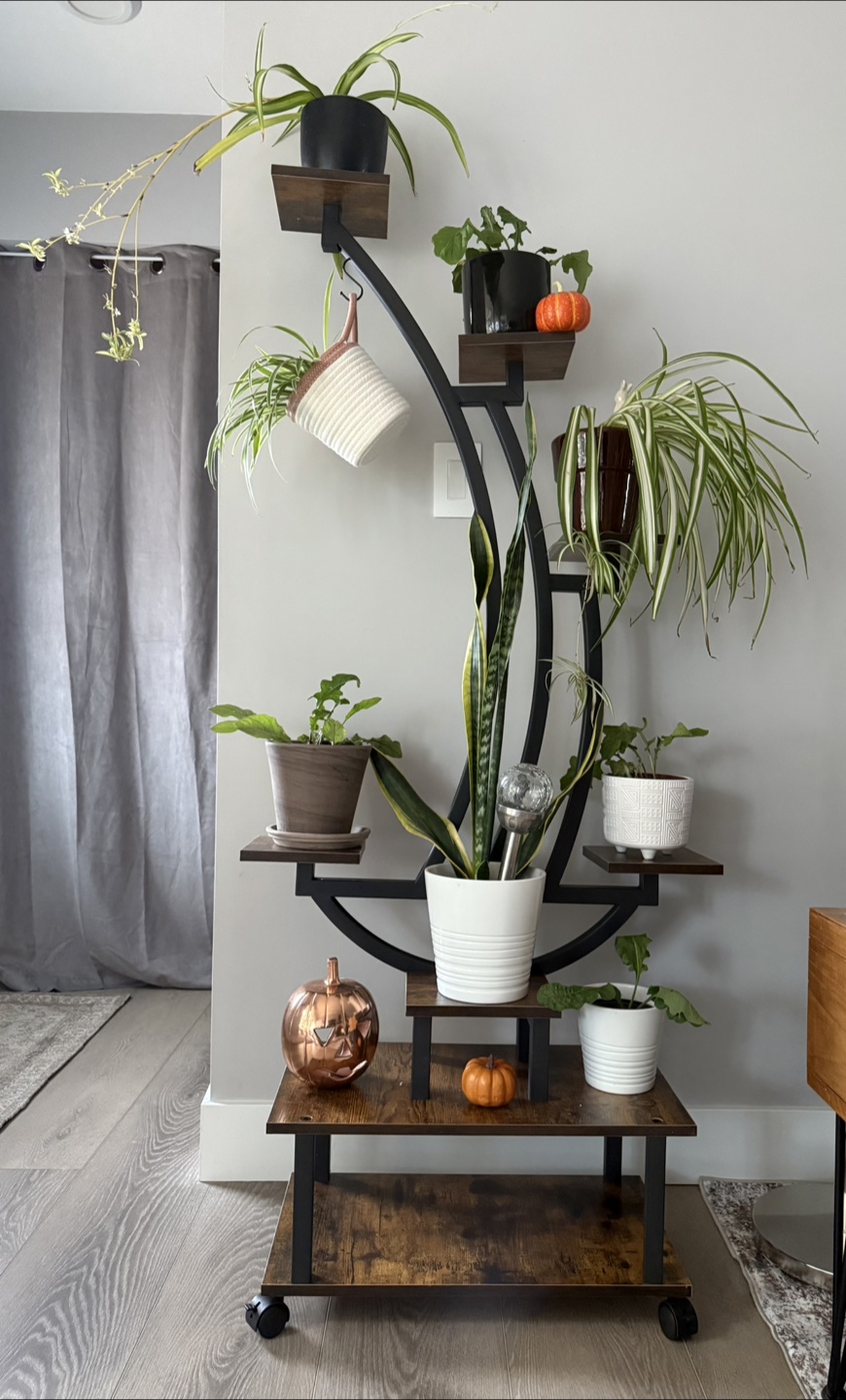 NEW - Tiered Plant Stand - Midnapore SE