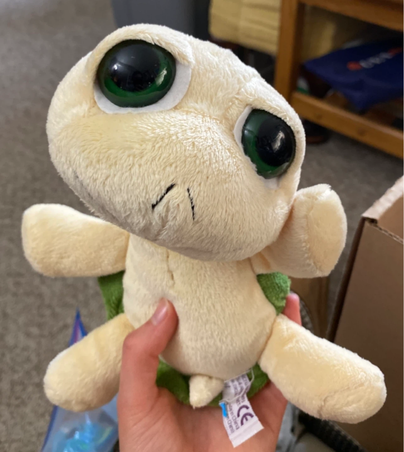 Turtle Plush Toy