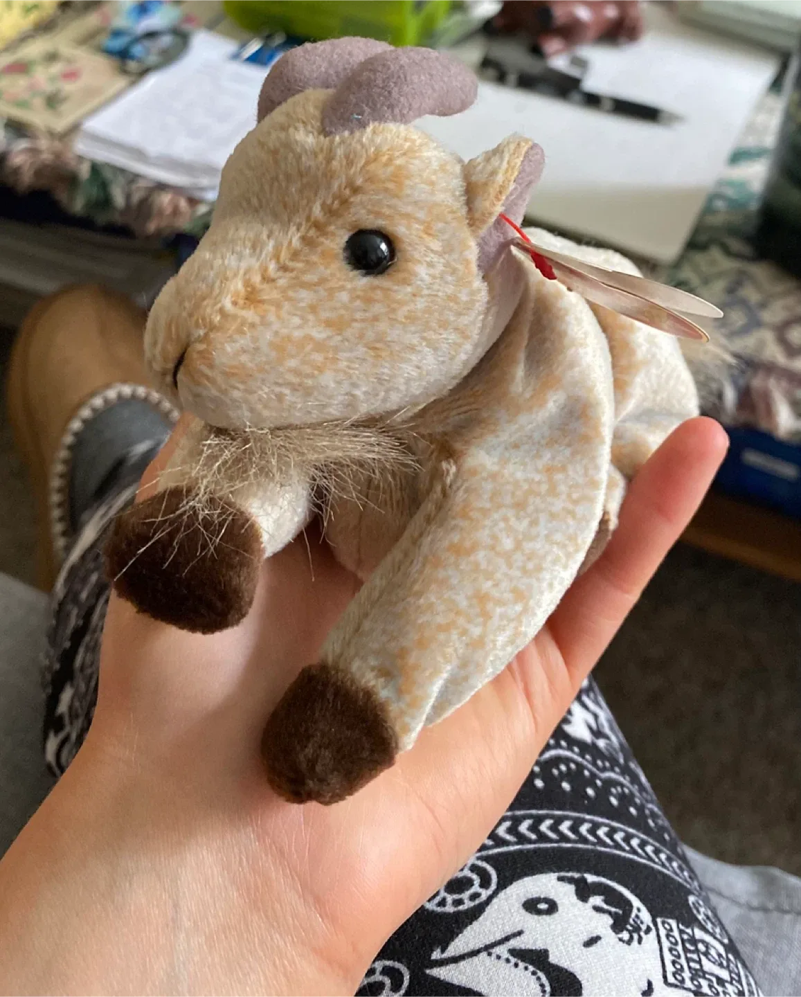 Ty Beanie Babies image indicator(3)