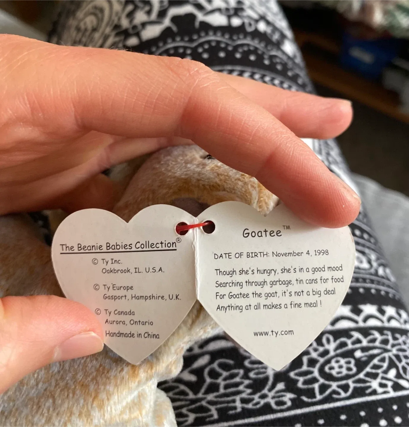 Ty Beanie Babies image indicator(4)