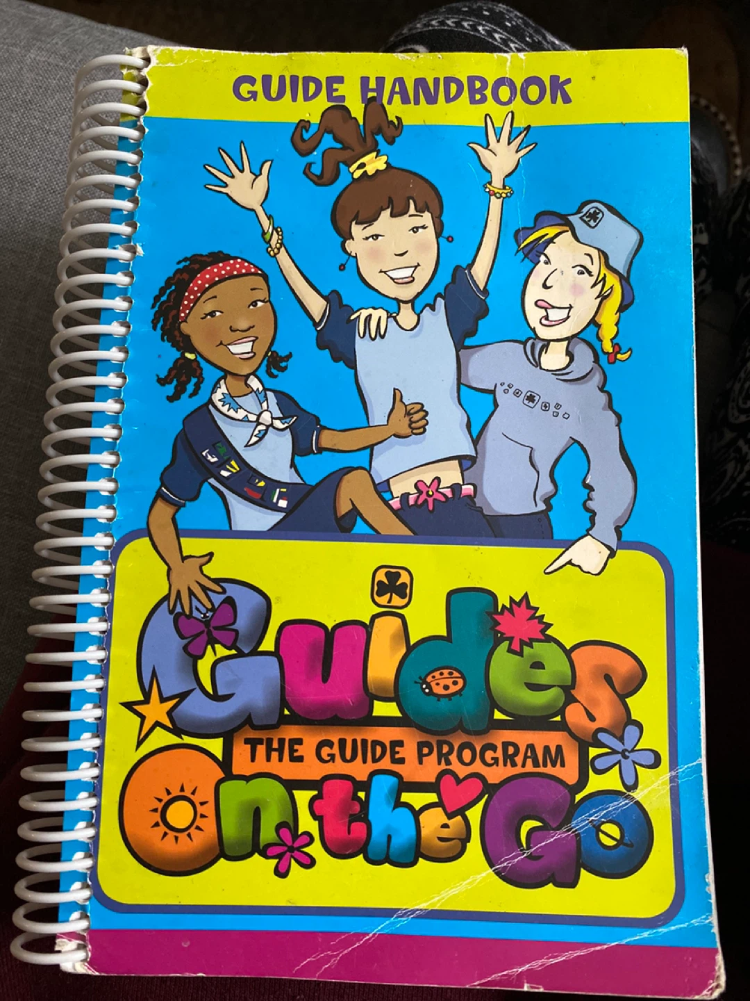 FREE - Girl Guides Handbook & Ranger Journal - photo 2