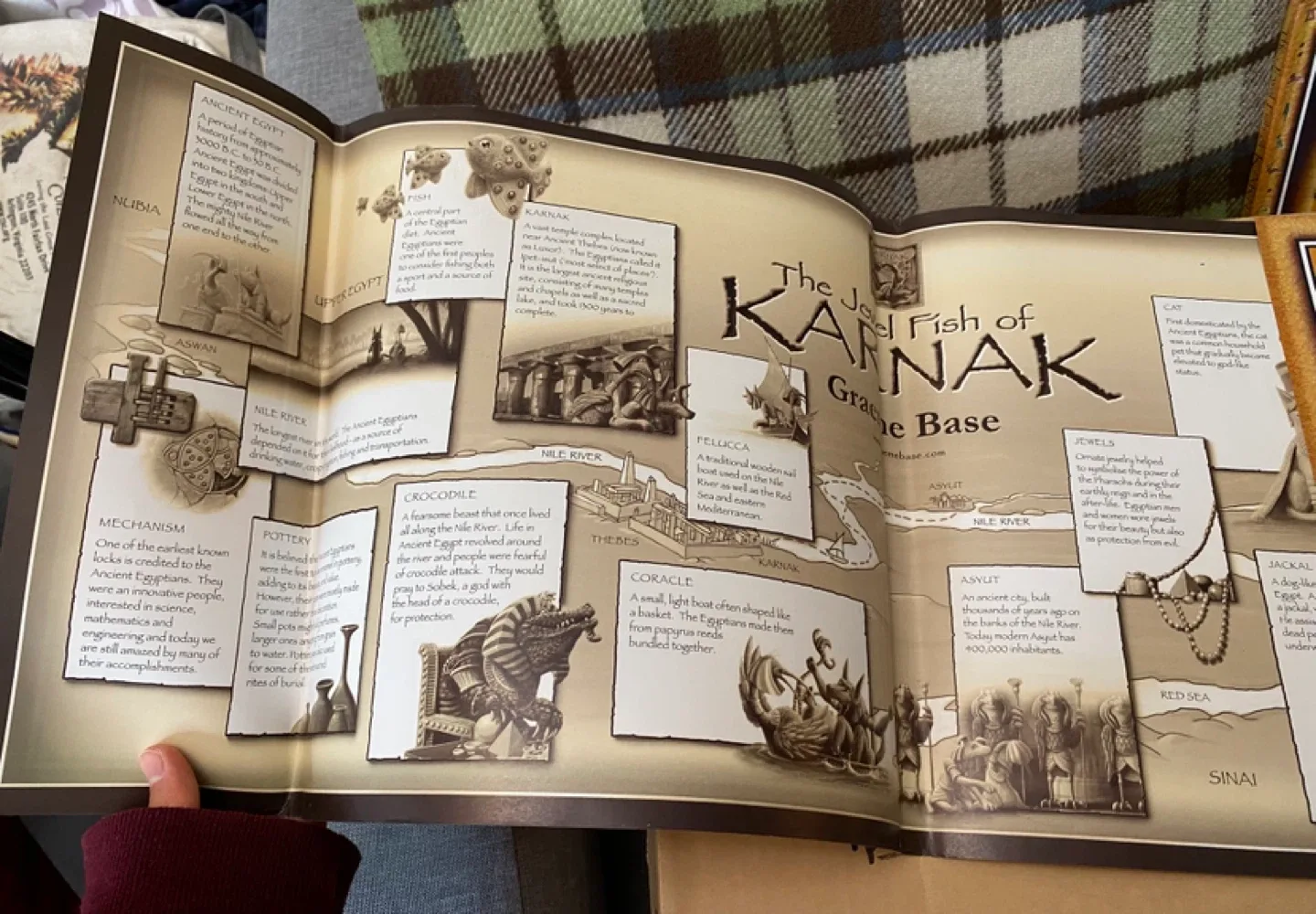 The Jewel Fish of Karnak by Graeme Base image indicator(4)