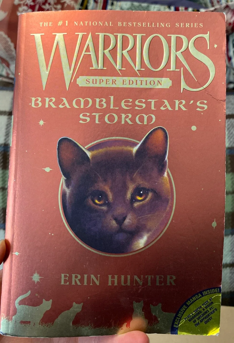 Warriors Super Edition: Bramblestar's Storm by Erin Hunter thumbnail