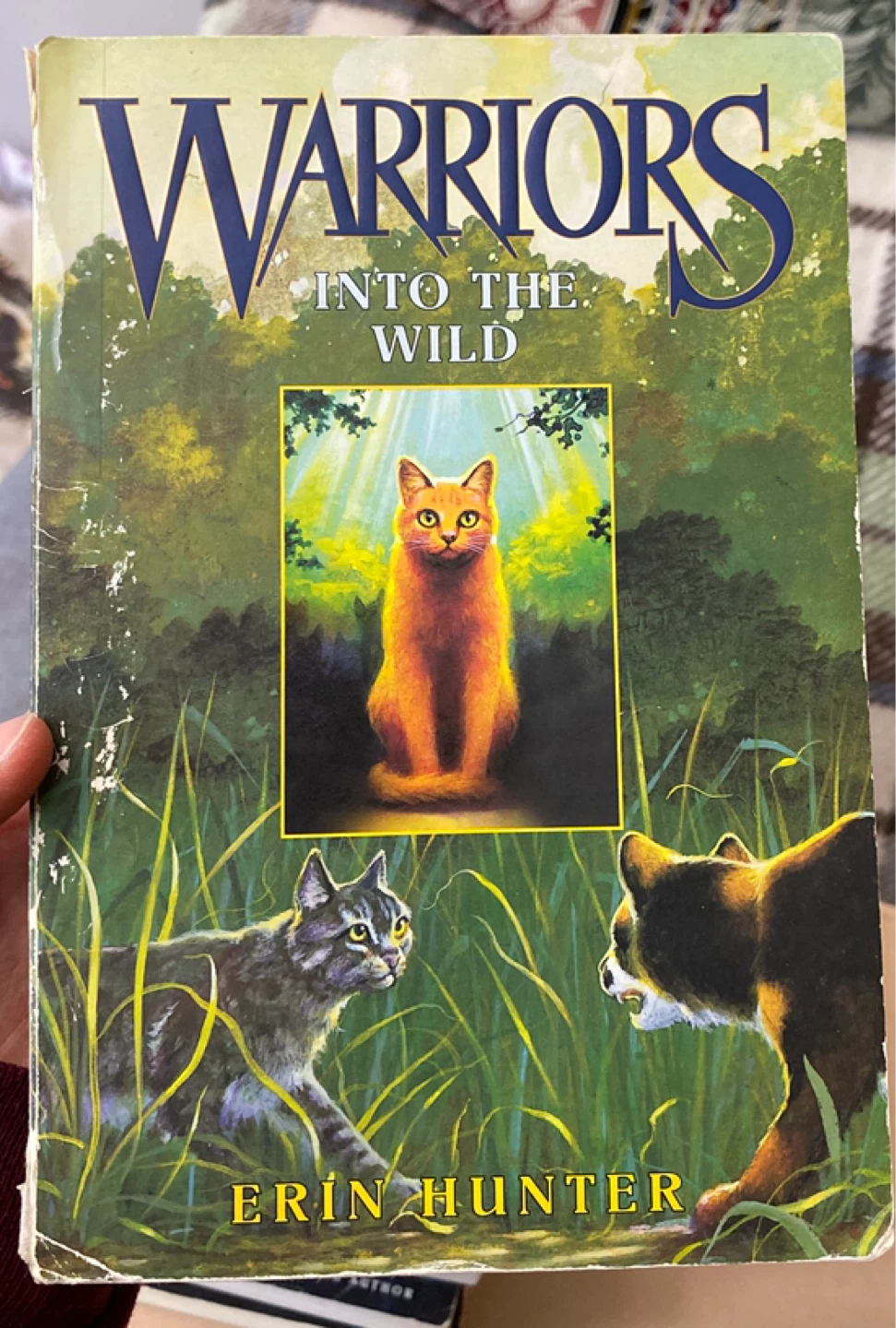 Full First Series - Warriors by Erin Hunter