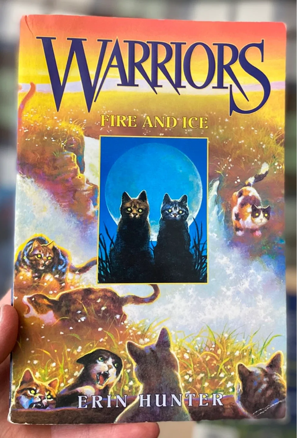Full First Series - Warriors by Erin Hunter image indicator(2)