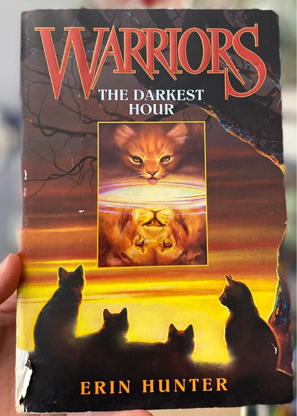 Full First Series - Warriors by Erin Hunter image indicator(6)