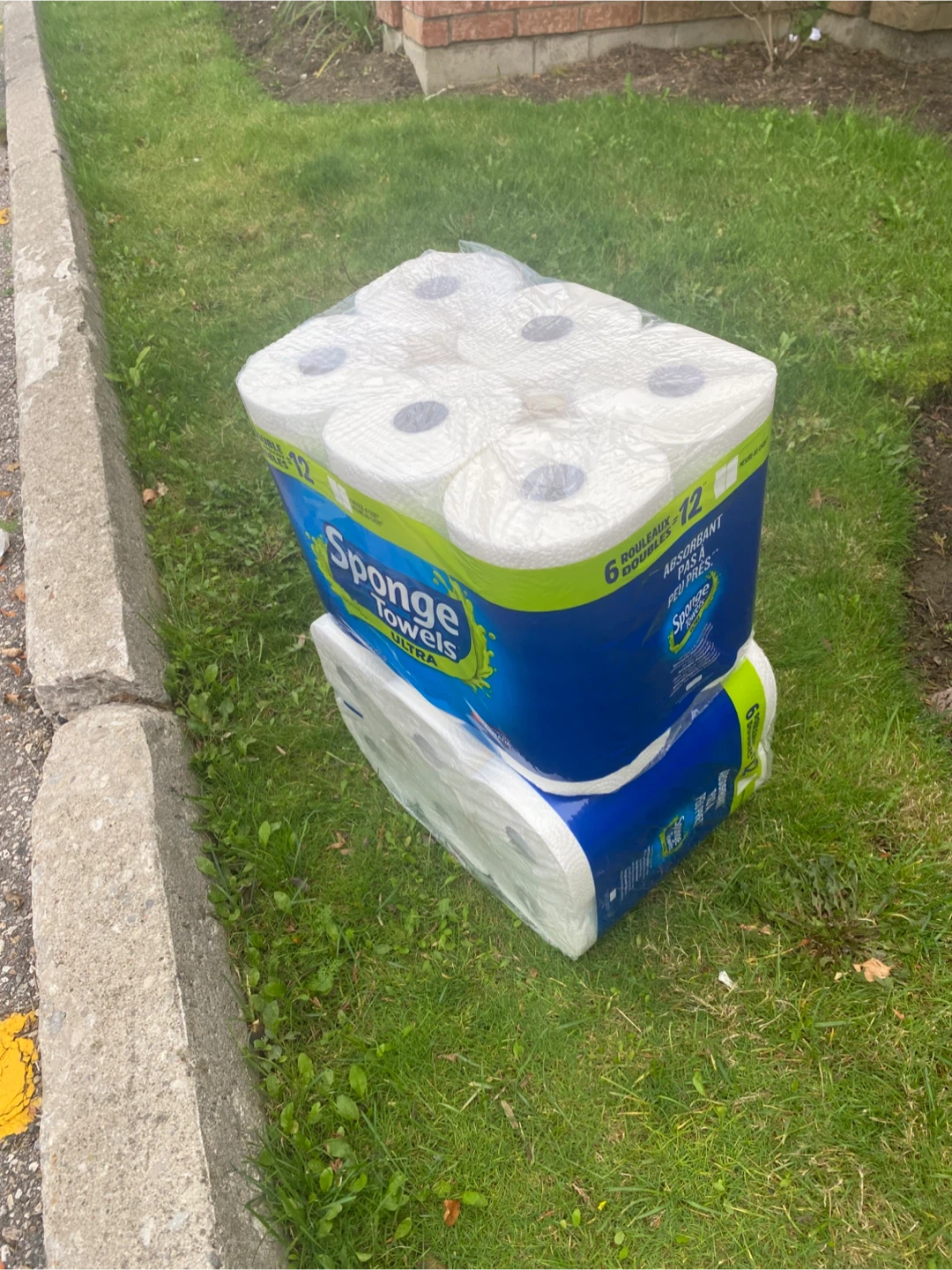 Sponge Towels Ultra - 12 Rolls