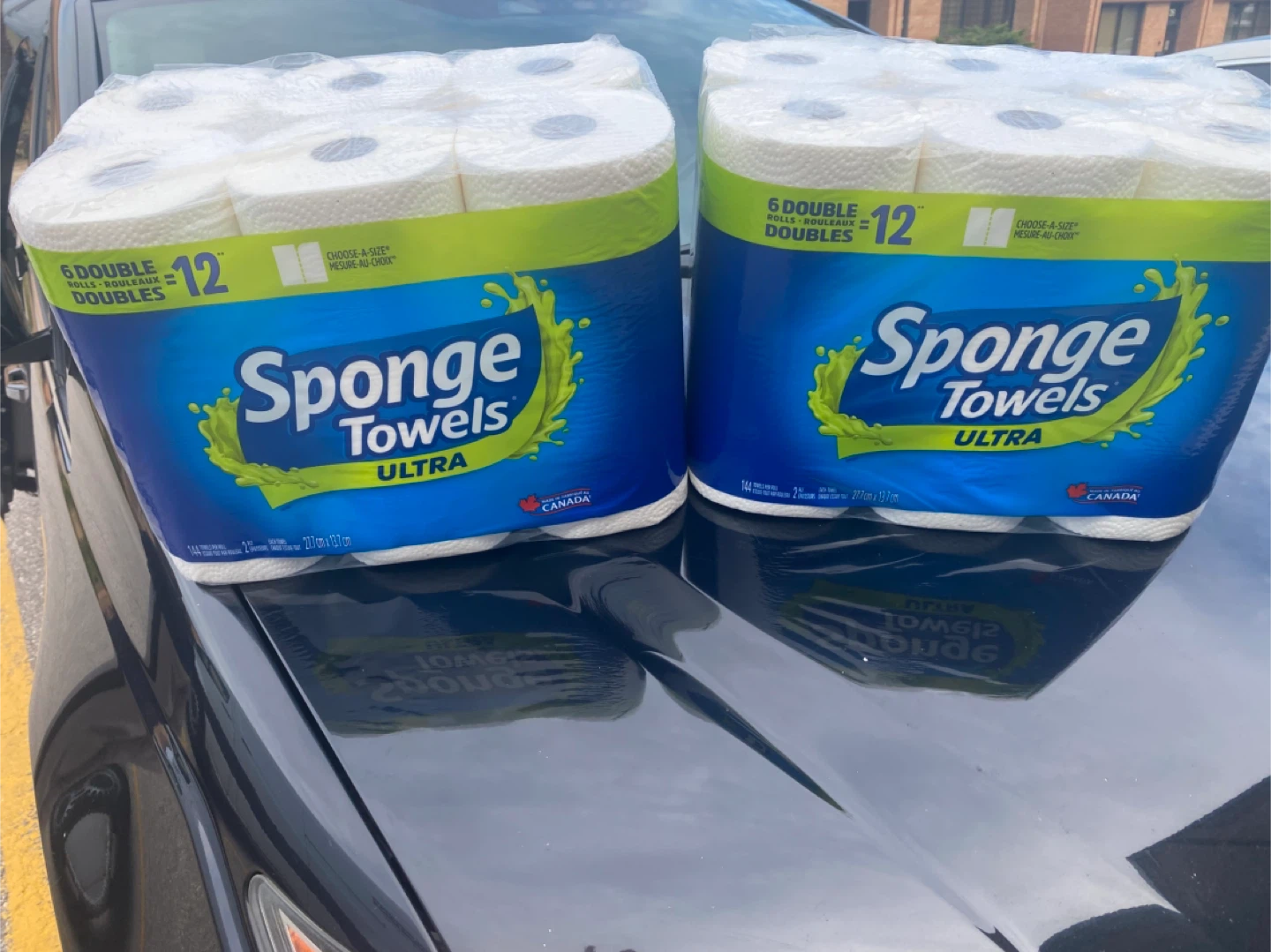 Sponge Towels Ultra - 12 Double Rolls