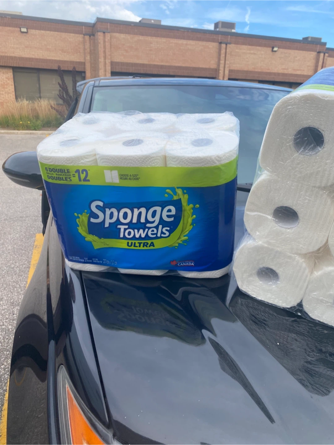 Sponge Towels Ultra - 12 Double Rolls - photo 3