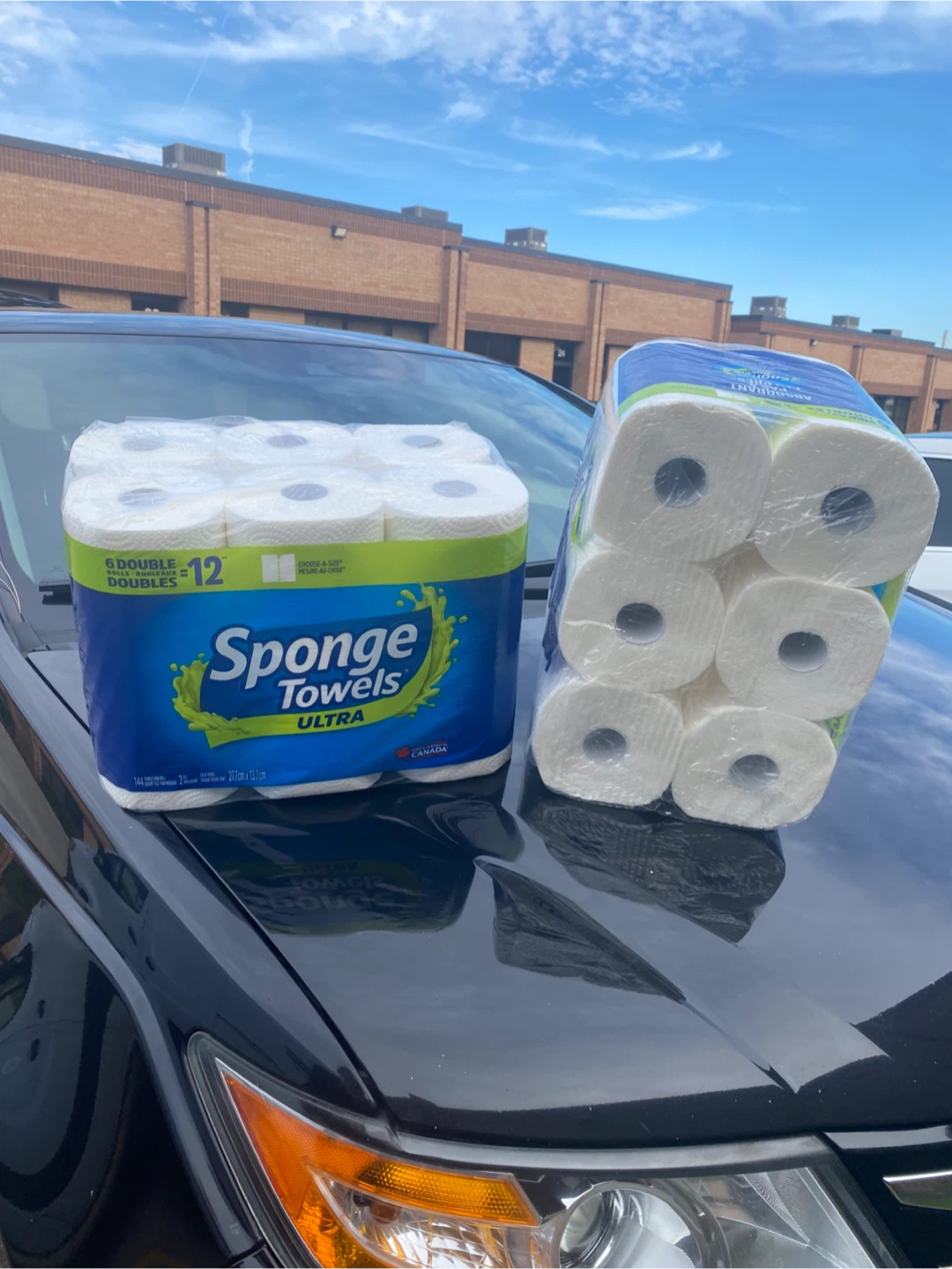Sponge Towels Ultra - 6 Rolls $14 - photo 2