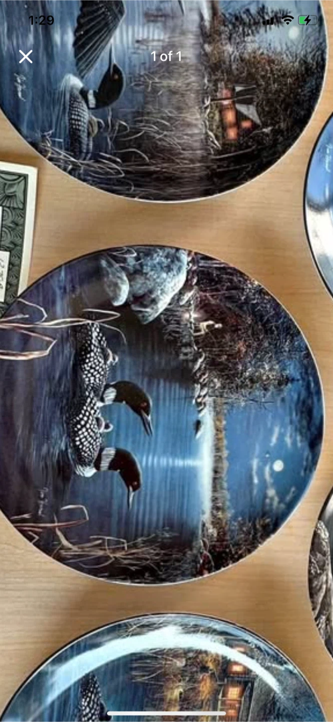 Bradford Exchange Loon Plates - photo 5