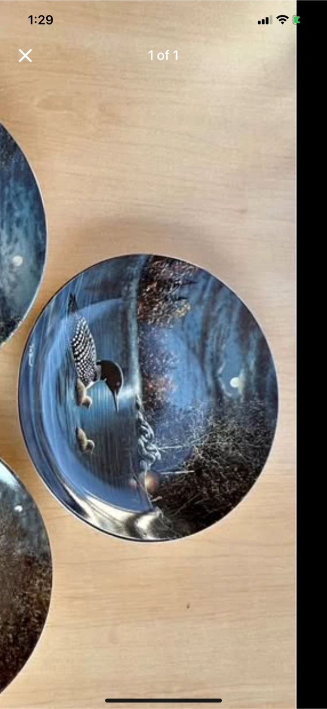 Bradford Exchange Loon Plates - photo 2