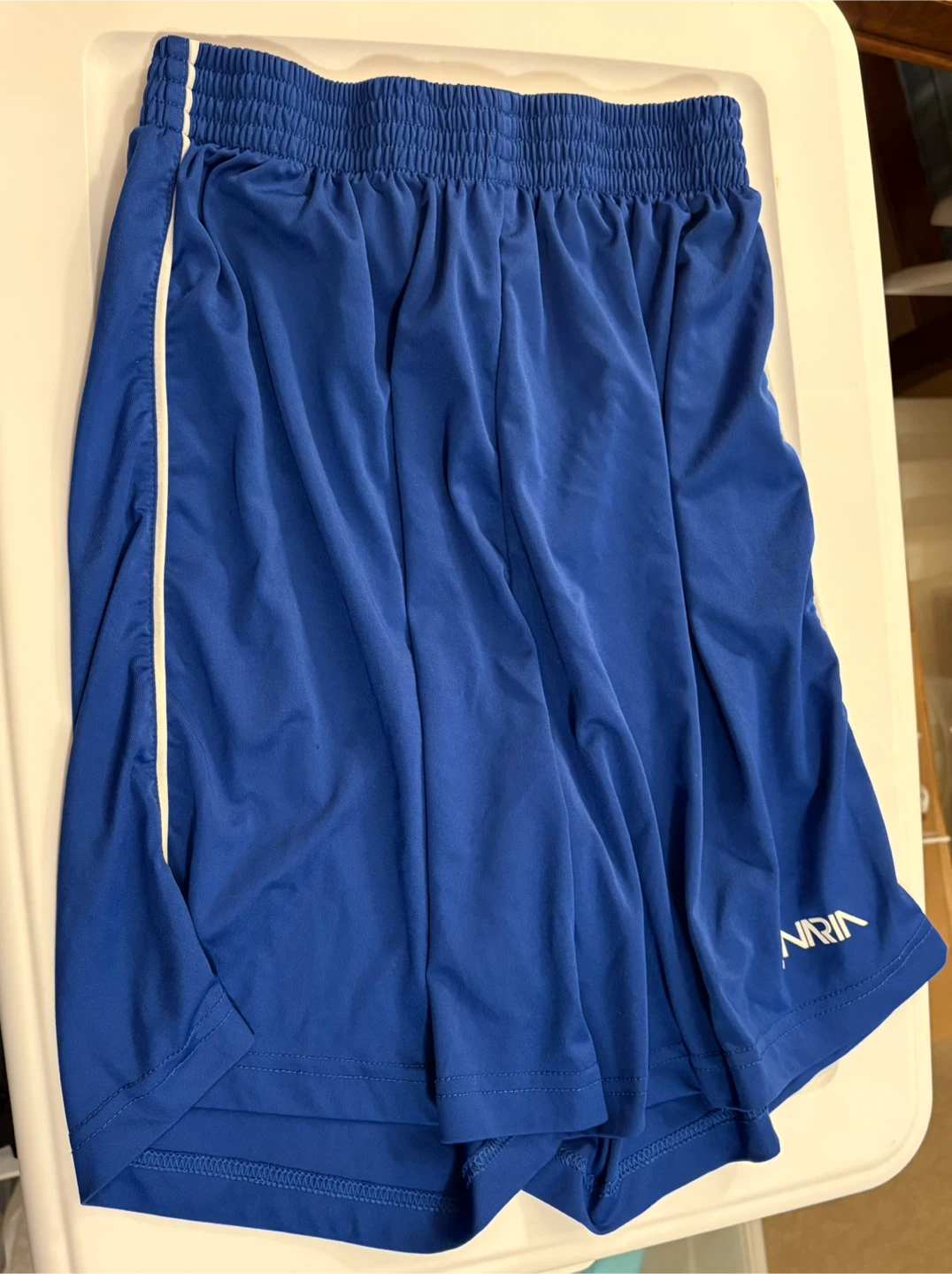✨✨Blue Athletic Shorts - Size S