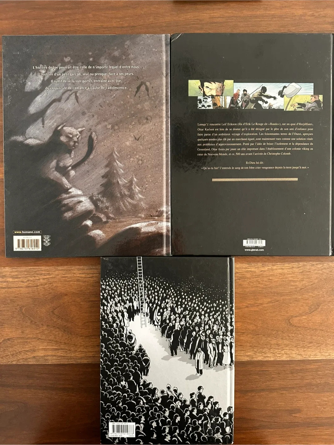 Lot de 3 BD : Joe, Vinland, Dieu image indicator(2)