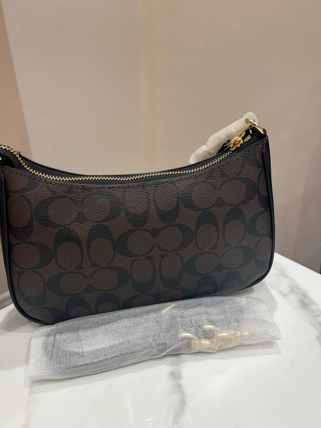 Coach Terri purse image indicator(2)