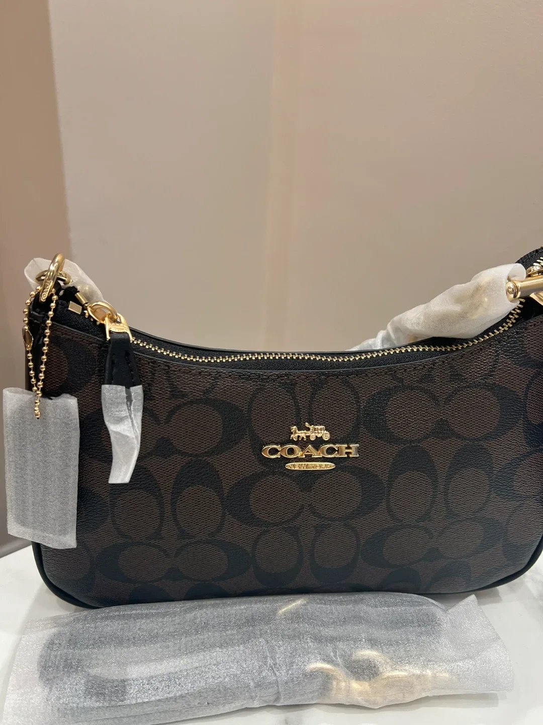 Coach Terri purse image indicator(3)