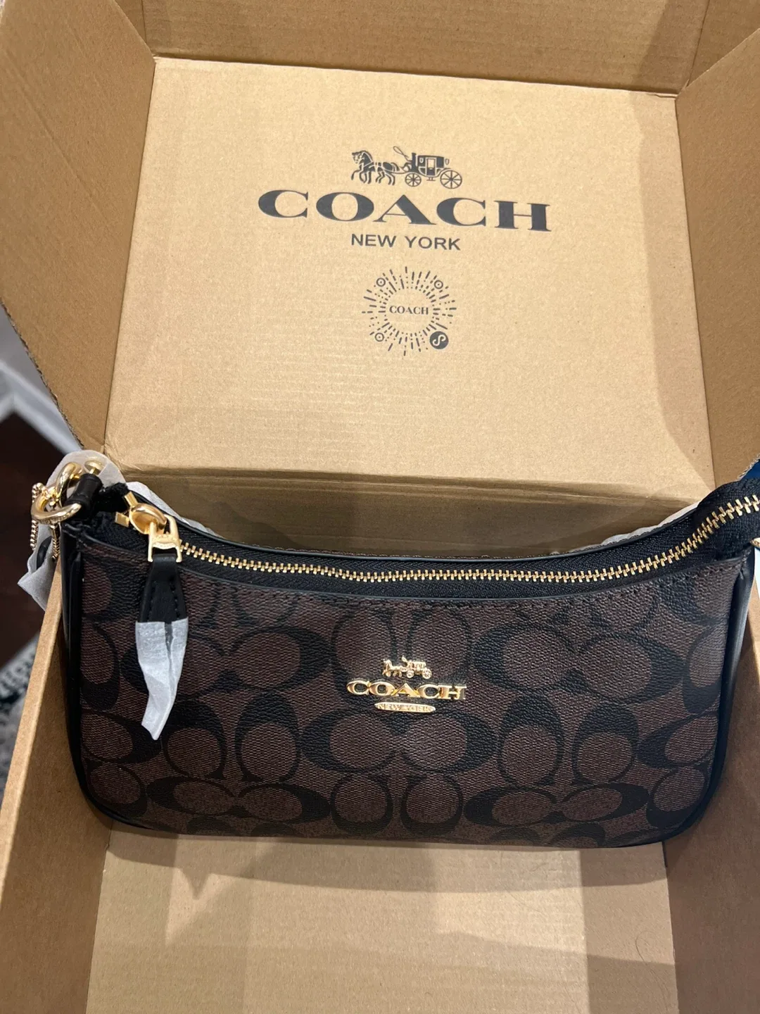 Coach Terri purse image indicator(6)