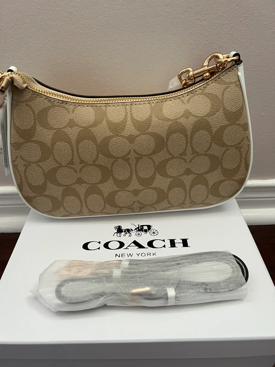 Coach Terri purse image indicator(2)