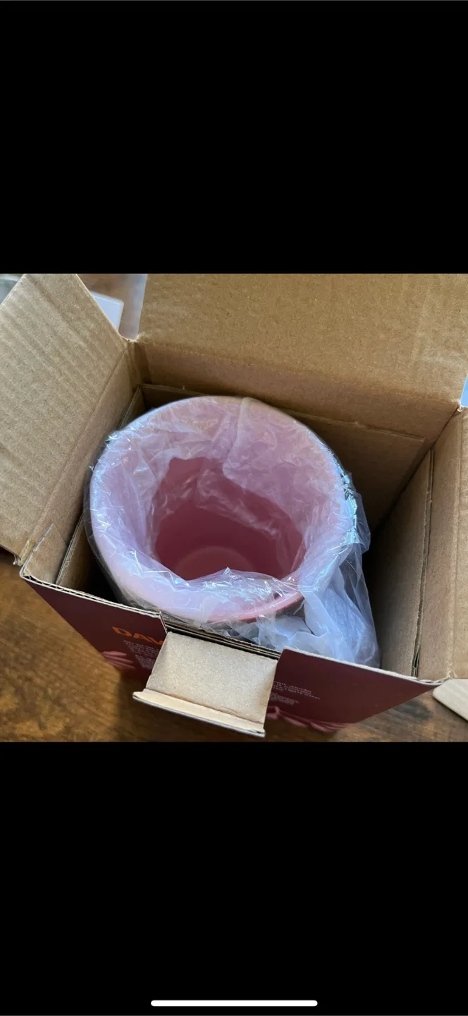 David’s Tea “Perfect Mug”. New in box. image indicator(4)